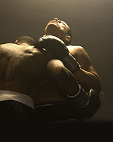 Boxers